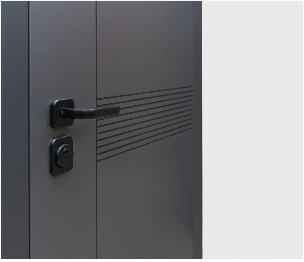 Товар Дверь Цербер Lang-yue Только 96 DIS007135