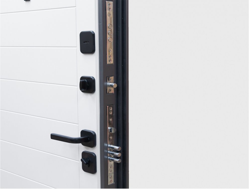 Товар Дверь Цербер Lang-yue Только 96 DIS007135