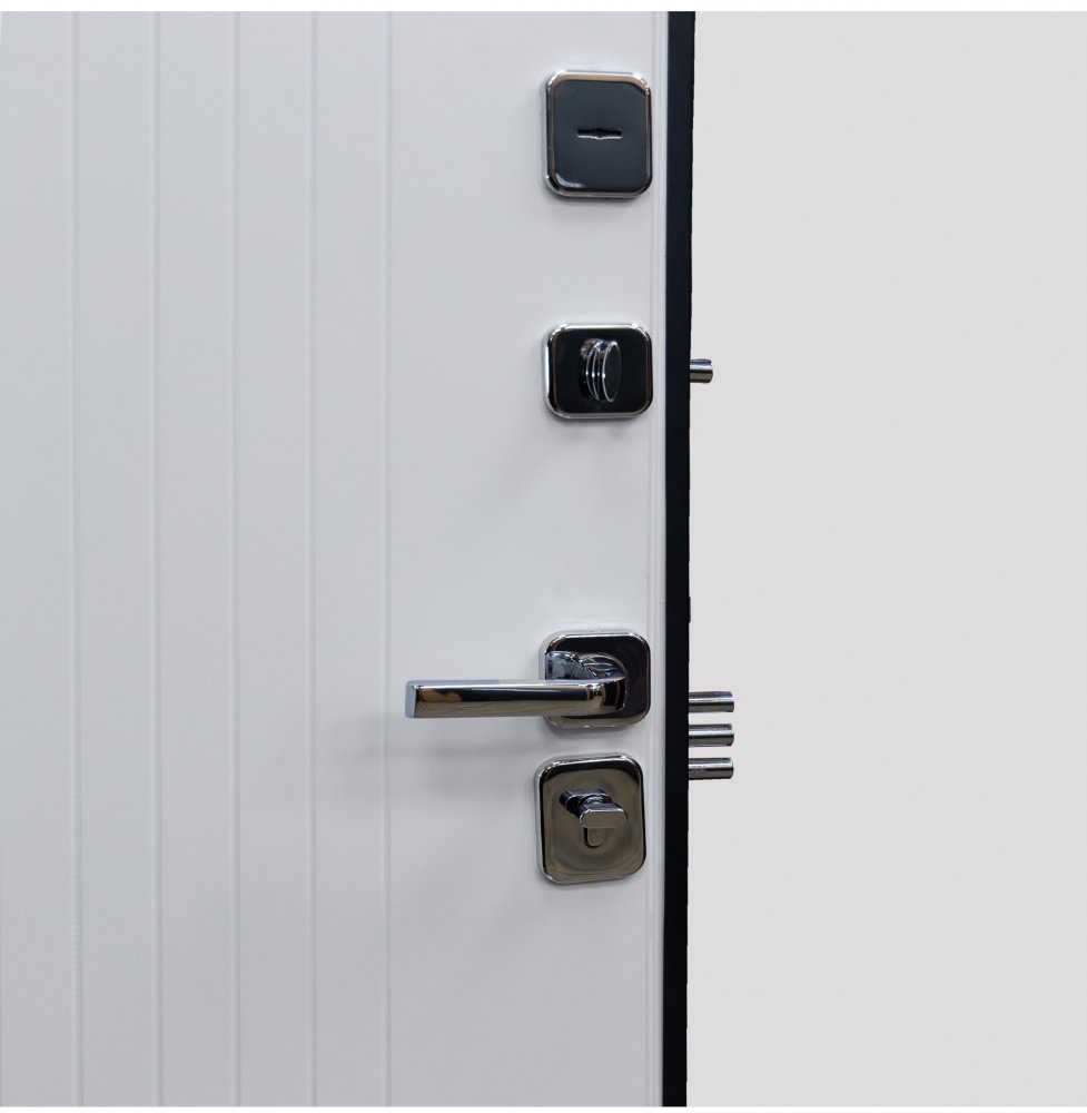 Товар Дверь Цербер SS-01 Только 96 DIS007136