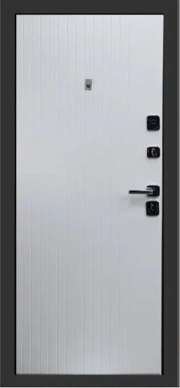 Товар Дверь Цербер SS-01 Только 96 DIS007136